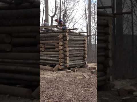 Making memories. Bush craft style cabin. #outdoors #buschcraft #bushcrafters #bushcrafting ￼