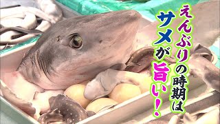 冬が旬・青森独自のサメの郷土料理