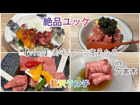 【vlog】美味しいご褒美な日 | 贅沢焼肉ランチ | 六本木 | 絶品ユッケ | カフェ