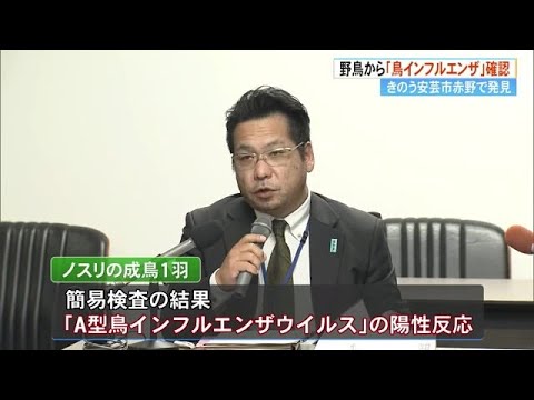 《死んだ野鳥から鳥インフル陽性反応》「高病原性」の疑い…遺伝子検査へ【高知・安芸市】 (24/12/25 17:27)