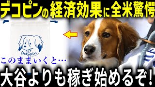 大谷翔平だけじゃない…デコピンがもたらす衝撃の“経済効果”に全米驚愕!!「愛犬までもすごいのか・・・」全米が驚いたデコピンの経済効果とは？【大谷翔平/海外の反応/デコピン/真美子/家族】