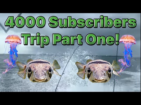 4K Subscribers Trip! Part One Of Three!#clearwaterboating #gulfofmexico