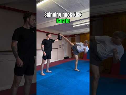 Karate vs Taekwondo Kicks