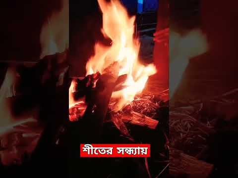 শীতের সন্ধ্যায় সুন্দর মুহূর্ত I winter season #shortvideo #shorts