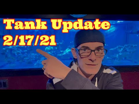 Reef Tank Update 2/17/21 With (Aquatic Life T-5 Hybrid) (New Fish)