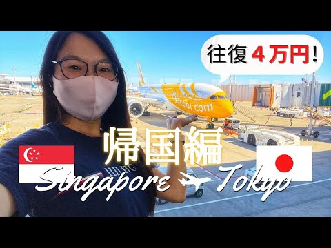 sub Jap/Eng [Singapore Trip] Way back to JAPAN｜LCC Scoot Review