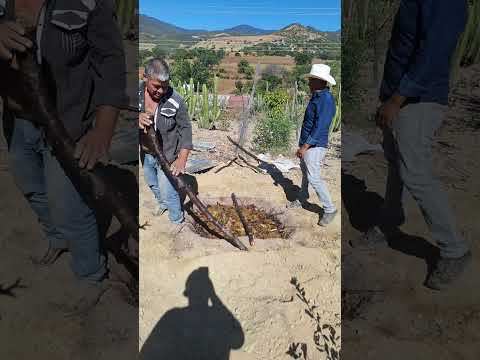 Sacando el Chivo despues de 4 horas en el poso al estilo ranchero #pueblo  #mexico #puebla