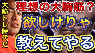 【山岸秀匡】BIGHIDEが教える大胸筋トレーニング【切り抜き】