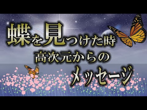 【高波動】蝶を見た時　何かを伝えに舞い降りてきた存在【スピリチュアル】