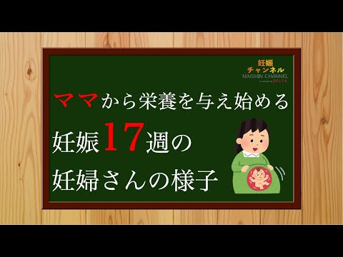 【妊娠17週】妊娠17週って？妊婦さんの症状と注意点についてご紹介