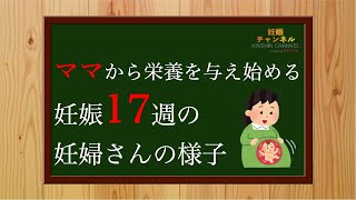 【妊娠17週】妊娠17週って？妊婦さんの症状と注意点についてご紹介