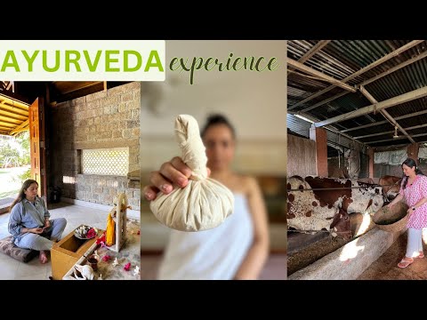 AYURVEDA centre in Himachal Pradesh - Experience, Massage Therapies, Prices, Benefits