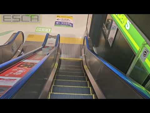 Sendai Station, Platform 13 & 14, Escalator Down