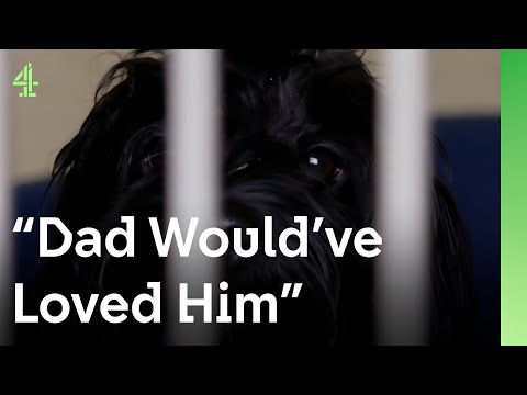 Cockapoo helps a heartbroken family begin to heal I The Dog House 🐶 I Ralph the Cockapoo