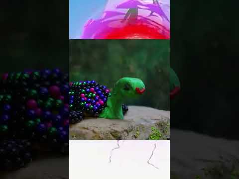 LEGO #shorts #stopmotion #cuckoo #trendingshorts #trending #fypシ゚viral #stopmotion #fypシ゚ #fish