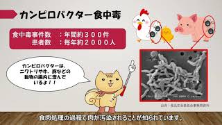 動画で学ぼう！カンピロバクター食中毒