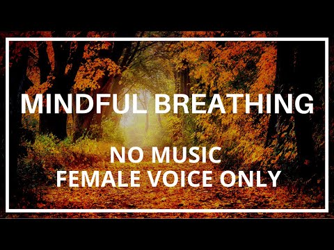 Mindful Breathing Meditation (Mindfulness Based Cognitive Therapy) #LewisPsychology #LewisPsychology