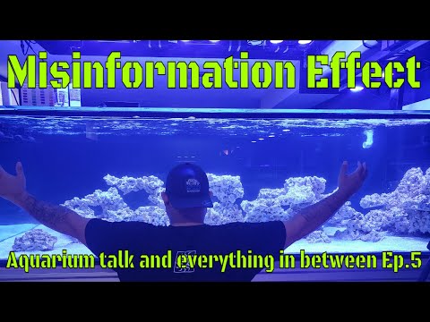 Misinformation Effect