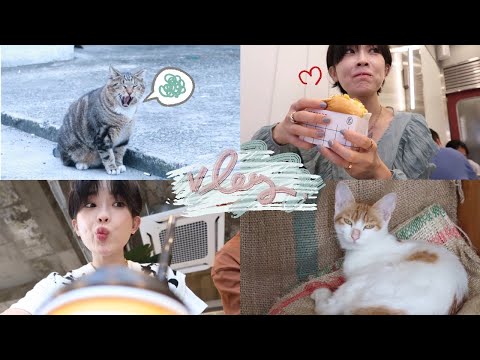 VLOG✨고먐미가 체고야..🐱 (백신접종,월포해수욕장, 앞머리파마💇🏻‍♀️, 셀프염색,최애메론빵🥐)