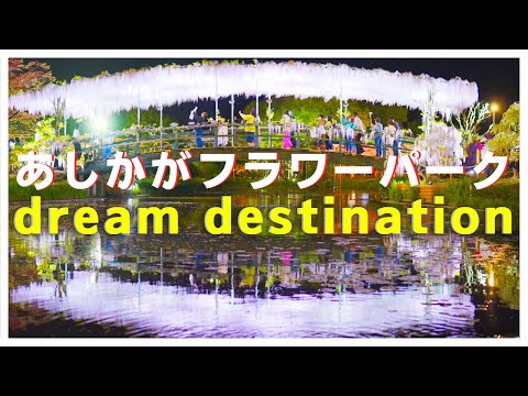 Dream_destination★Ashikaga_Flower_Park★