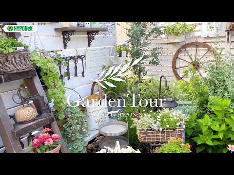 🕊Garden Tour🕊100：大好きなガーデン雑貨をアクセントに飾りながら、鉢植えをメインに色々なディスプレイを楽しむお庭