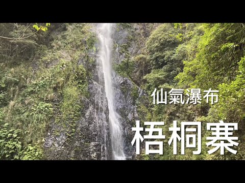 梧桐寨 Ng Tung Chai - 仙氣瀑布： 井底瀑 - 中瀑 - 主瀑 - 崎嶇山路 - 險要道路 - ｛山野篇 Hong Kong Hiking}