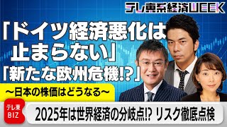 【切り抜き・欧州・日本編】震源地はドイツ…EU離脱も？「2025年は世界経済の分岐点！？リスクを徹底点検」～日本の株価はどうなる～