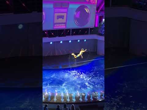 #shorts Royal Caribbean Utopia of the Seas, AquaTheater Show - Aqua 80 Too, Slackline