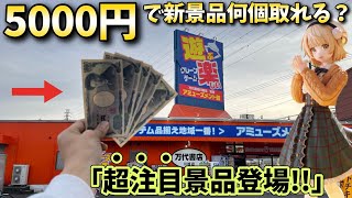 【しぐれうい】5000円で話題の人気景品何個取れるのか？【万代書店川越店】橋渡し【クレーンゲーム】