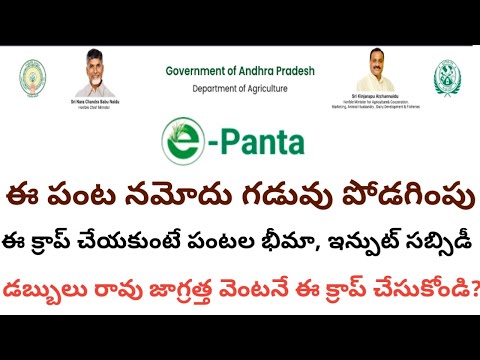 e panta namodu || e panta booking status 2024 ||e panta@ConnectingChandra