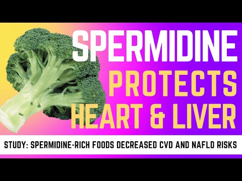 Spermidine boosts autophagy and protects heart & liver