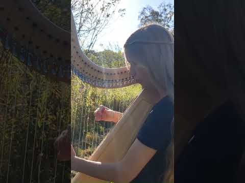 Caledonia #shorts #caledonia #harp #celticharp #scottishmusic #relaxingharpmusic #outdoormusic