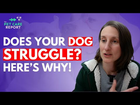 Why Your Dog Won't Listen: Uncover the Secrets to Better Behavior!