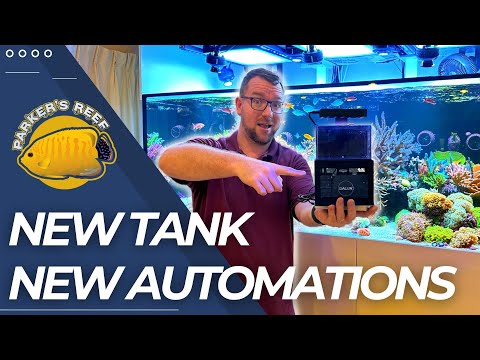 New Tank - Plus Dream Reef Updates!