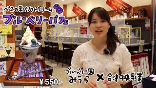 【福島県観光物産館】超期間限定！ブルーベリーパフェをいただきました！【2020年夏・福島県】