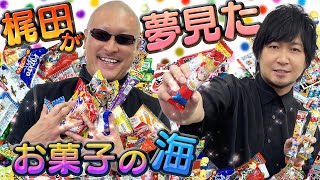 【駄菓子】大人買いした大人によるキャッキャウフフな宝探し【開封動画】