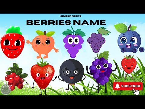 Berries Name | Types of Berries With Picture & Name | English Vocabulary | Kinder Roots