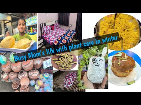 Busy Mom' life 👉 with caring my plants in winter,Low budget gardening, How it possible