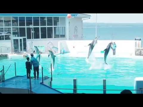 のとじま水族館2019 3 29