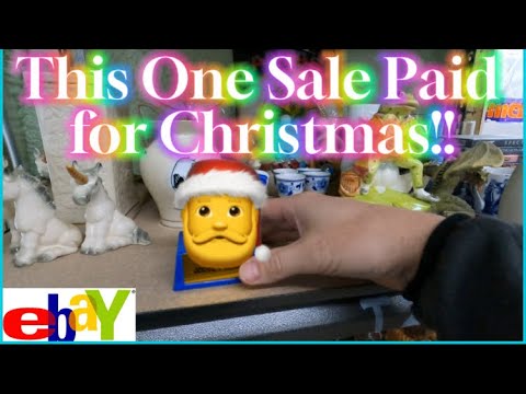 Surprise Auction = Our Best EBay Sale this Year!!!!    More than Paid for Christmas!