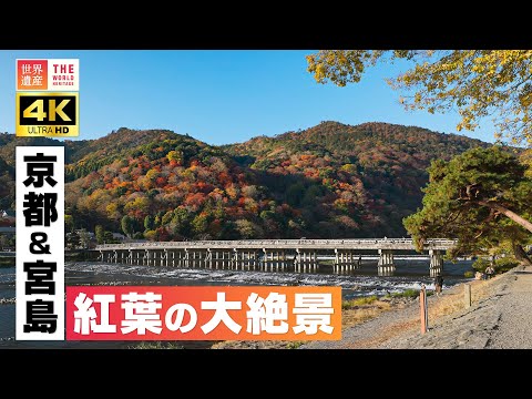 【4K】京都・宮島　紅葉の絶景！