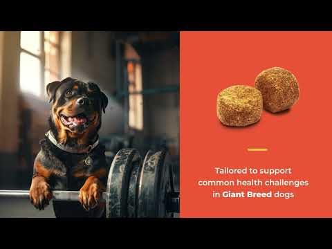 NaturVet Breed Specific Giant Breed Dogs