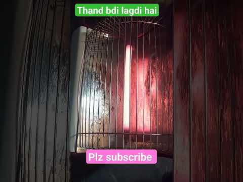 Thand lagdi #viralvideo #songstatus #viral #youtubeshorts #viralshort