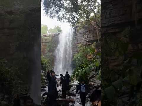 Muktai Waterfall 25.07.24 Chandrapur  #waterfall #shorts #ytshorts #youtubeshorts #viral #monsoon