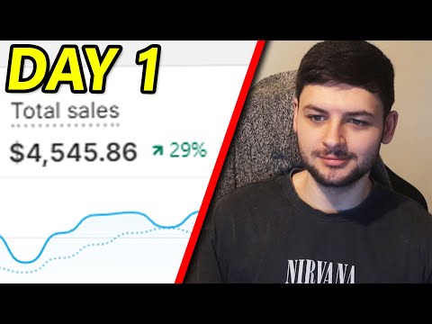 I Made $4,545.86 in 24 Hours with Dropshipping (How I Did it)