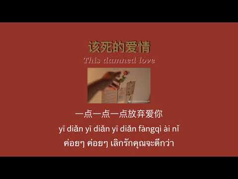 THAISUB-PINYIN | แปลเพลง《该死的爱情》This damned love—胡66