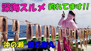 沖の瀬の深海スルメ【スルメイカ釣り】【直結仕掛け】