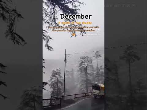 December holds Memories from Jan to November 🤍❄️ #memories #youtubeshorts #shimlahills #nature