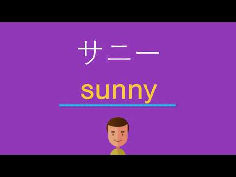 サニーは英語で何と言う？