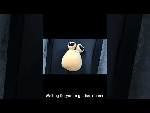 Waiting for you to get back home #sadpou #plushtoys